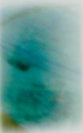 Screen shot 2018-01-29 at 6.46.24 PM